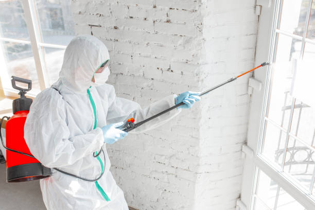 Best Industrial Mold Remediation  in Sunnyslope, WA